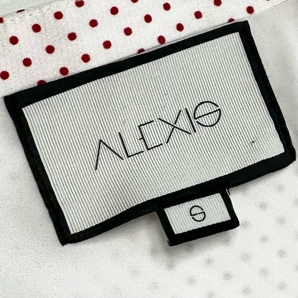 Alexis red dotted asymmetric Kadir skirt sz small silky flowy Revolve - Picture 2 of 15